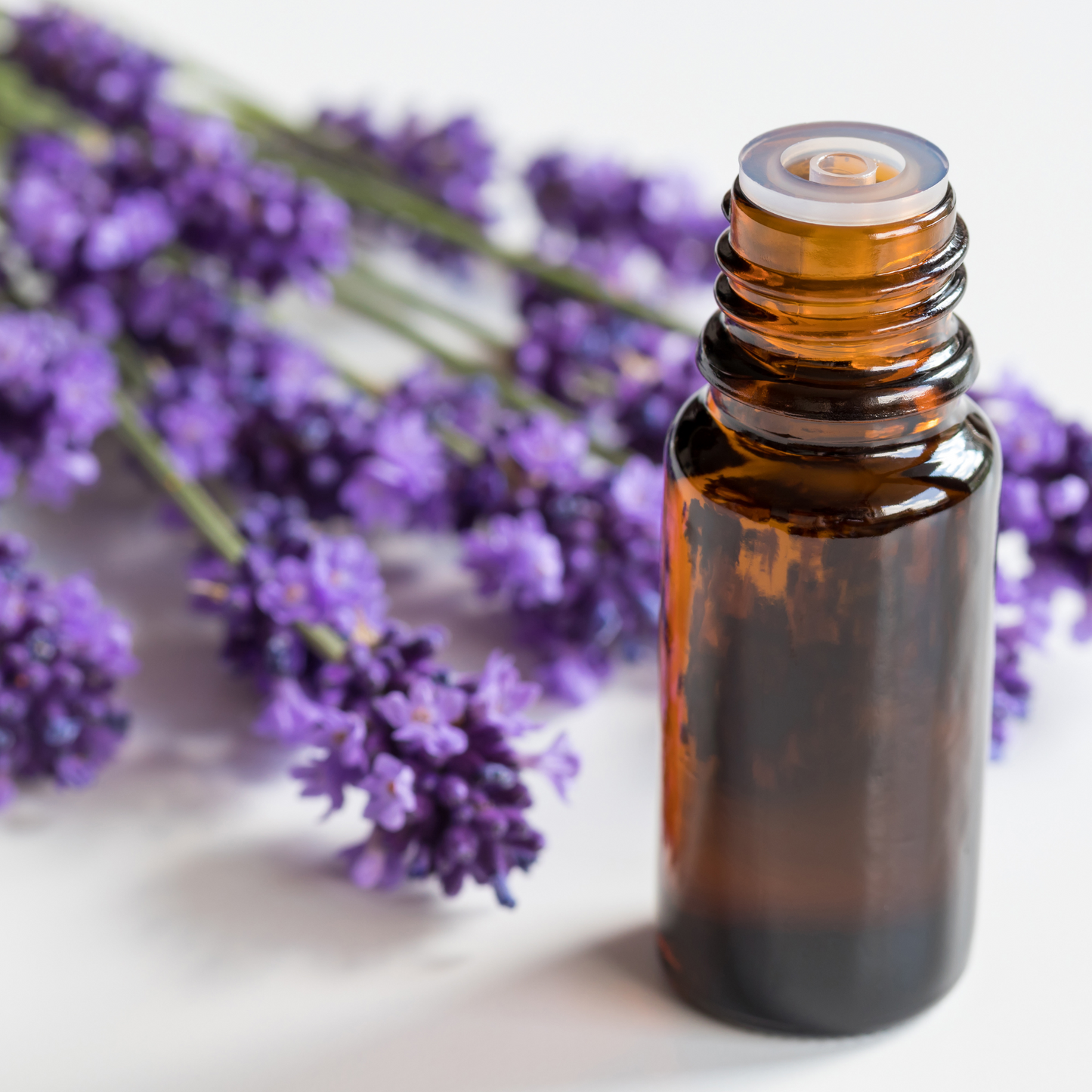 Lavender Essential Oil (Intermedia) - Lavandin, Grosso & Super Varieties (5ml)